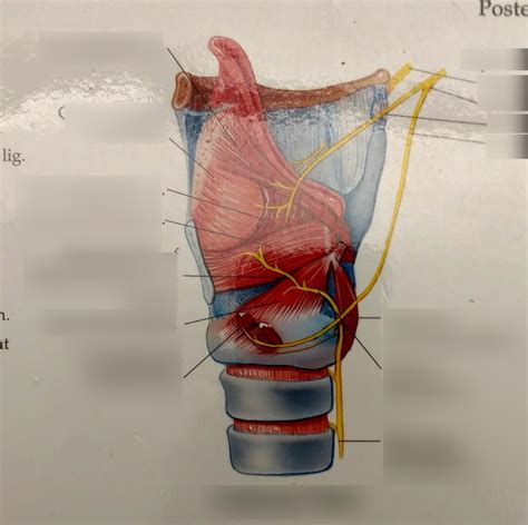 Cutaway view Diagram | Quizlet