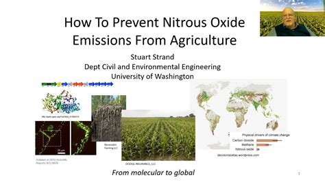 How To Prevent Nitrous Oxide N2O Emissions From Agriculture YouTube