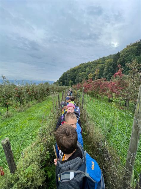 Stufe Auf Dem Weg Von Ludwigshafen Nach Bodman Grundschule Stockach