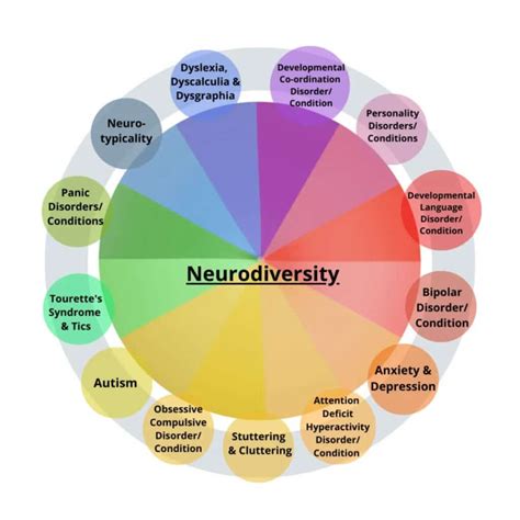 A Neurodiversidade O Mundo Da Pessoa Neurodiversa