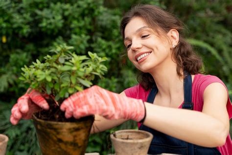 Comment Créer Un Jardin écologique Idees Home