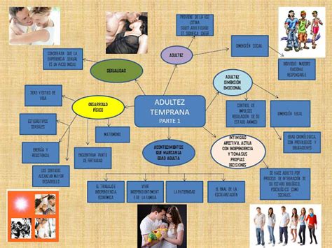 Mapa Conceptual Adultez Media Kulturaupice Images