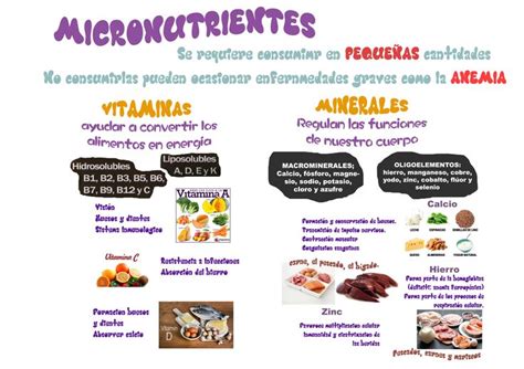 Micronutrientes Clasificacion De Los Alimentos Lista De Alimentos