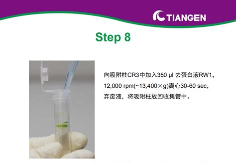 Rnaprep Pure 多糖多酚植物总 Rna 提取试剂盒操作指南（dp441） 丁香实验