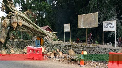 Membongkar Dokumen 1975 Bagaimana Nasib 31 Datuak Di Pasie Laweh