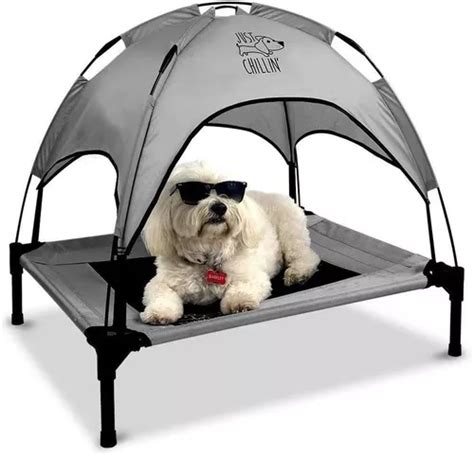 Cama Elevada Para Perros Just Chillin Cool Cuna Con Toldo E Cuotas