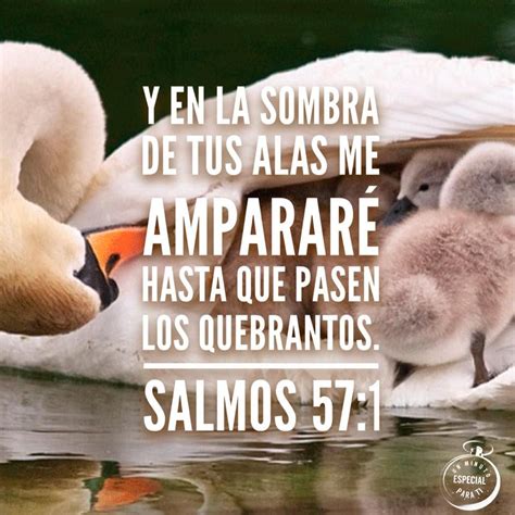 Salmos Frase De Fe Salmos Ley De Vida