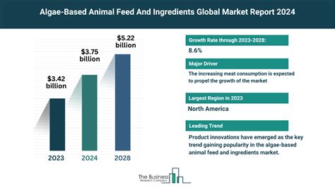 Algae Based Animal Feed And Ingredients Market Outlook 2024 2033