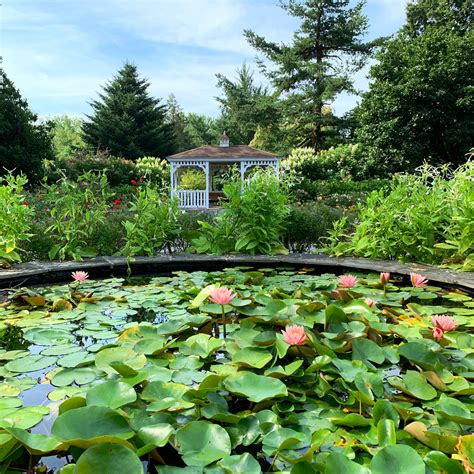 colonial park rose garden pond | Visit Somerset County NJ