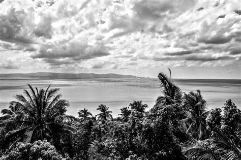 Coast Of The Tropical Island Black White Photo Stock Photo Image Of