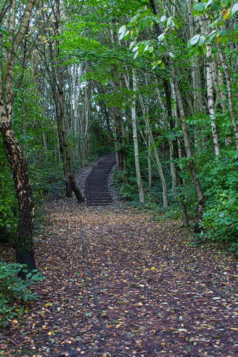 The Cobs The Old Site Of Alexandra Colliery Ravenhead Near Thatto