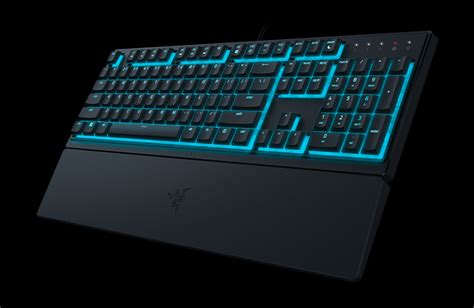 Teclado Gaming Ergon Mico Silencioso Razer Ornata V X