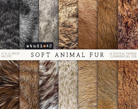 Animal Fur Textures Digital Paper, Real Animal Fur Texture Paper, Fur ...