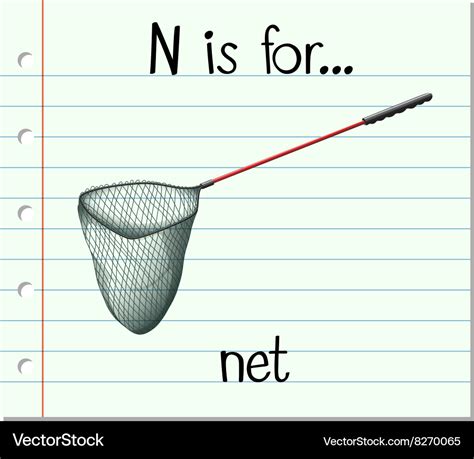 Flashcard Letter N Is For Net Royalty Free Vector Image