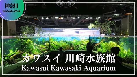 Kawasui Kawasaki Aquarium