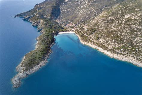 LElba ormai è diventata lisola delle tartarughe marine nuovo nido a