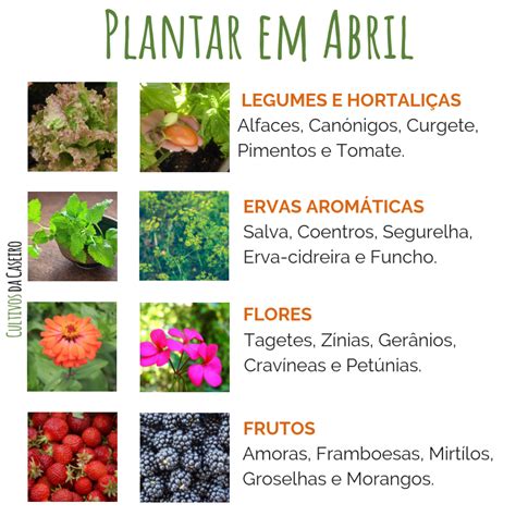 Plantar Em Abril Cultivo De Hortali As Dicas De Jardinagem Ervas