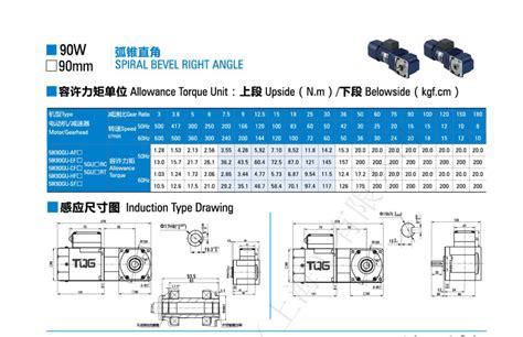 AC Right Angle Gear Motor | Right Angle AC Gear Motor | AC Gear Motor - TQG