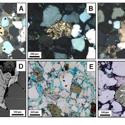 A Optical Photomicrograph Crossed Nicols Showing Quartz Grains With