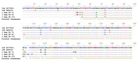 Multiple Sequence Alignment Of 5 UTR Of HCV Genotype 3 With Reference