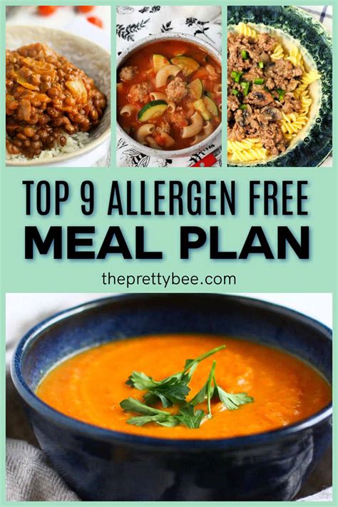Top 9 Allergen Free Meal Plan. - The Pretty Bee