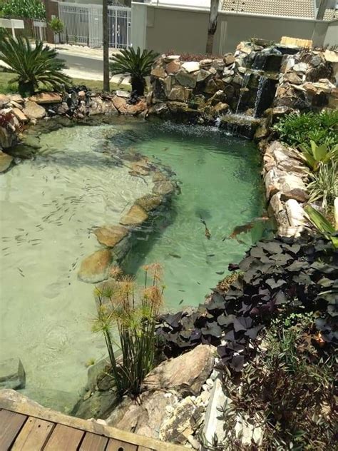 Creative turtle pond | turtle aquarium ideas | turtle tank ideas ...