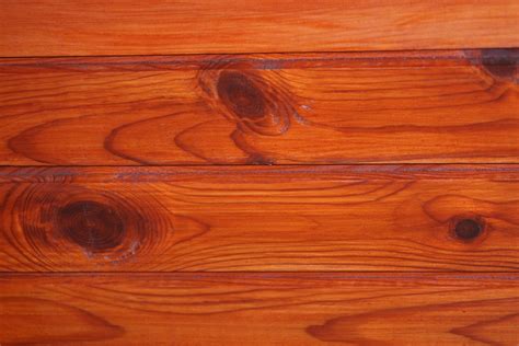 Knotty wood Free Photo Download | FreeImages