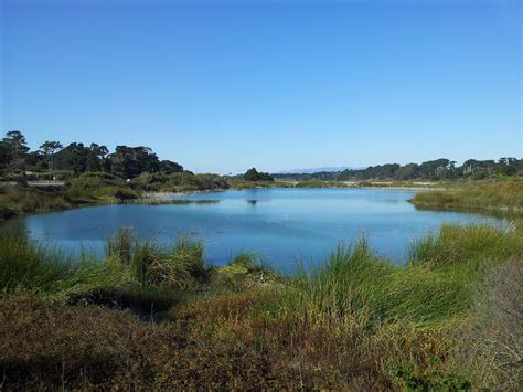 Lake Merced | Niral's Photoblog