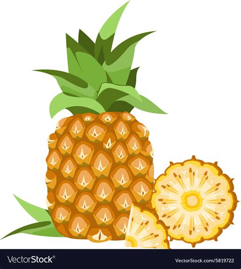 Pineapple Royalty Free Vector Image Vectorstock