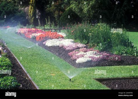 Automatic Watering System Fotos Und Bildmaterial In Hoher Aufl Sung