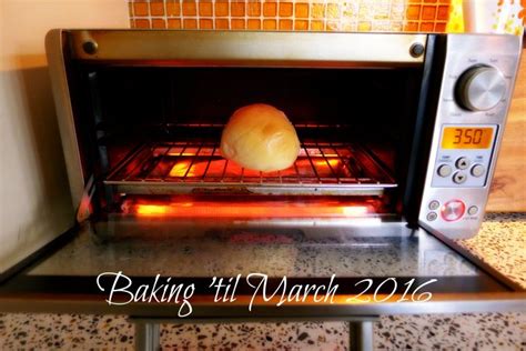 Bun in the oven! | Bun in the oven, Toaster oven, Oven