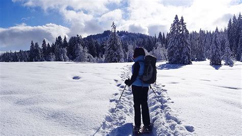 Top 7 Des Randonnées En Raquettes Dans Les Vosges Hardloop Magazine