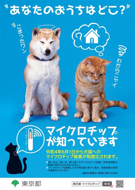 マイクロチップの義務化と登録手続き シリウス犬猫病院