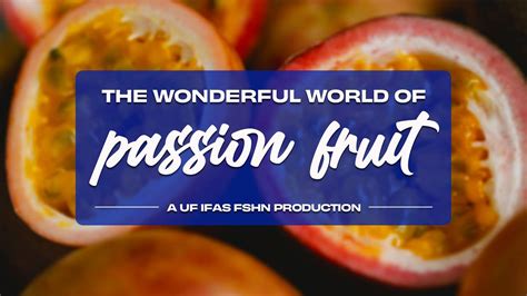 The Wonderful World Of Passion Fruit Youtube