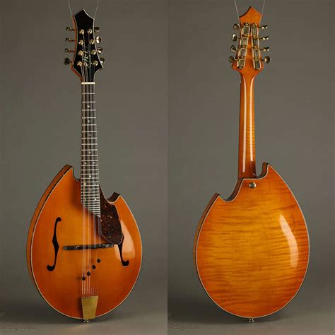 2007 Rigel I 110 Mandolin Used Mandolin Cafe