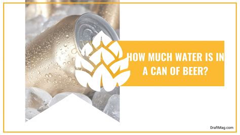 How Much Water Is In Beer A Comprehensive Breakdown Of Brew Liquids