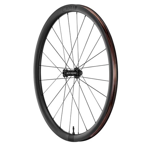 Giant Slr Tubeless Carbon Disc Front Wheel Clincher Centerlock