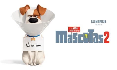 Cine Reseña De La Vida Secreta De Tus Mascotas 2 Revista Meta