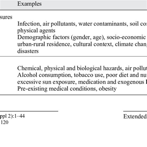 Classification Of Environmental Risk Factors Download Table