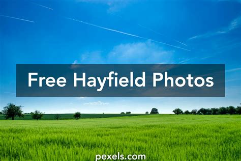 250+ Amazing Hayfield Photos · Pexels · Free Stock Photos