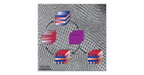 Deciphering The Complex Phase Behavior During Polymerization Induced