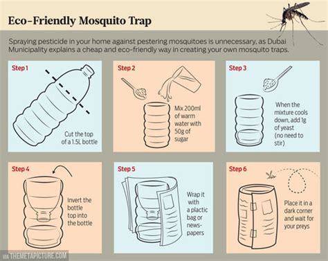 How To Easily Build A Mosquito Trap