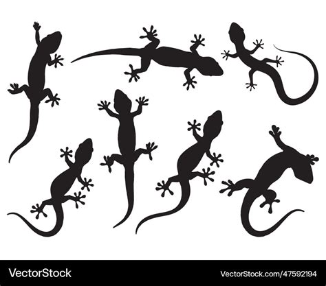 Gecko silhouette Royalty Free Vector Image - VectorStock