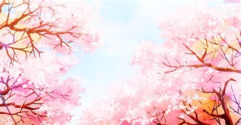 cherry blossom sakura anime gif  gifer  brarne