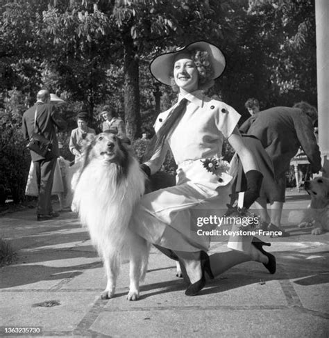 La Femme Et Son Chien Photos And Premium High Res Pictures Getty Images