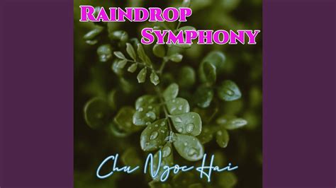 Raindrop Symphony YouTube