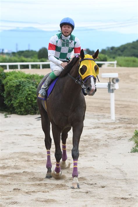 地方競馬全国協会nar公式 On Twitter 佐賀がばいダッシュ 1着はスーパースナッズ。本日佐賀競馬場で行われた第5回佐賀が