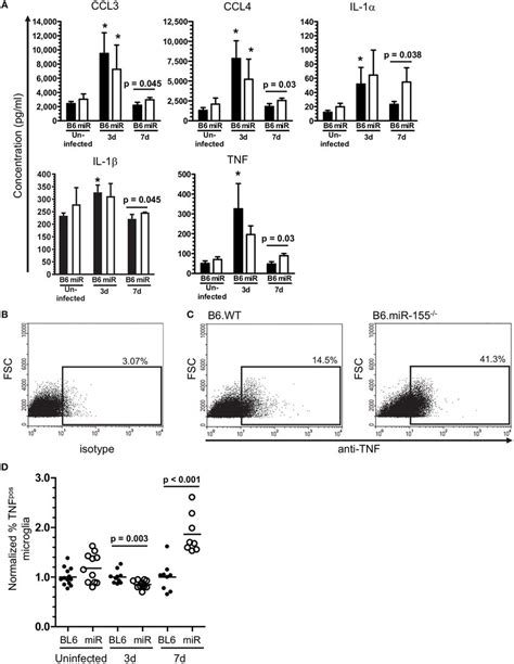 Mir 155 Inhibits Production Of Pro Inflammatory Cytokines After In