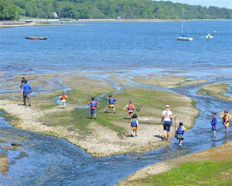 Marine Exploration Programs Ecology And Marine Science Youth Programs