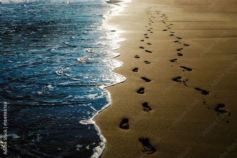 Two Pairs Of Footprints In The Sand On The Beach Stock Photo Adobe Stock